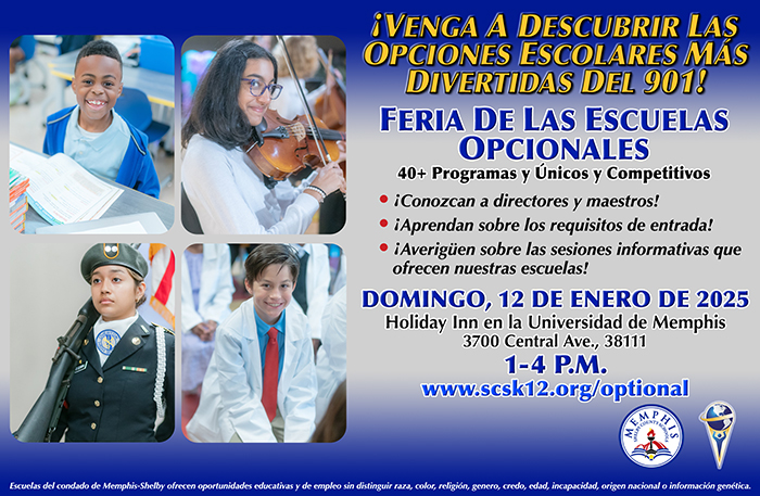 Spanish Optional Schools Fair Flyer 